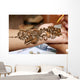 Applying henna on hand Wall Mural