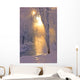 Small Stream Running through Wall Decal