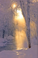 Small Stream Running through Wall Decal