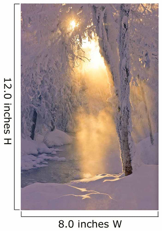Small Stream Running through Wall Decal