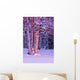 Pink Sunset Light Falling On Birch Trees At Russian Jack Springs Park Wall Mural