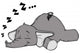 Elephant Sleep Sleep Snore Dream Wall Decal