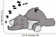 Elephant Sleep Sleep Snore Dream Wall Decal