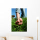 Barefoot Man Lawn
