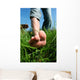 Barefoot Man Lawn