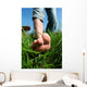 Barefoot Man Lawn