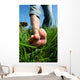 Barefoot Man Lawn