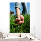 Barefoot Man Lawn