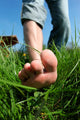 Barefoot Man Lawn