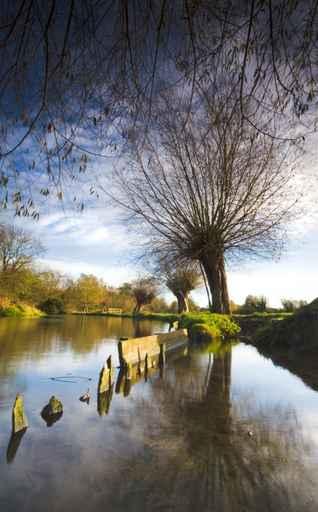 River Stour Wall Decal