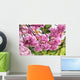 Cherry Blossom Wall Mural