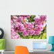 Cherry Blossom Wall Mural