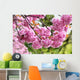 Cherry Blossom Wall Mural