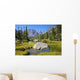 Rocky Mountain Landscape Wall Decal