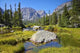 Rocky Mountain Landscape Wall Decal