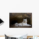 White Tiger Wall Mural