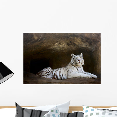 White Tiger Wall Mural shown on a wall