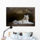 White Tiger Wall Mural