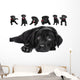 Labrador Wall Mural