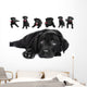 Labrador Wall Mural