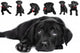Labrador Wall Mural