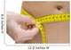 Waist Measurement