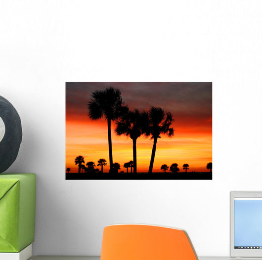 florida dreams Wall Mural