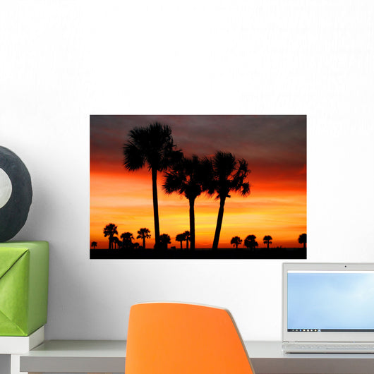 florida dreams Wall Mural