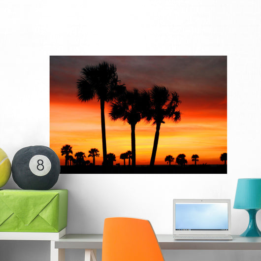 florida dreams Wall Mural