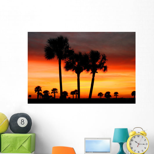 florida dreams Wall Mural