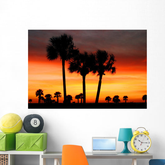 florida dreams Wall Mural
