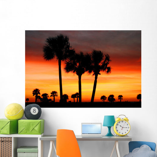 florida dreams Wall Mural
