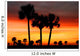 florida dreams Wall Mural