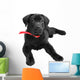 Labrador Wall Mural