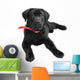Labrador Wall Mural