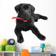Labrador Wall Mural