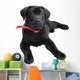 Labrador Wall Mural
