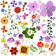 Big collection flowers and  butterflies Wall Mural