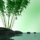 Bamboo plant and stones over a lake Wall Mural