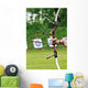Sport Bow