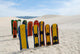 Sandboards Wall Mural