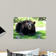 Animals Wall Mural