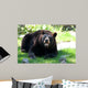 Animals Wall Mural