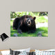 Animals Wall Mural