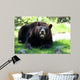 Animals Wall Mural