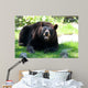 Animals Wall Mural