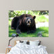 Animals Wall Mural