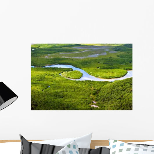 Aerial Lush Coastal Wetlands Wall Decal