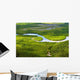 Aerial Lush Coastal Wetlands Wall Decal