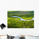 Aerial Lush Coastal Wetlands Wall Decal